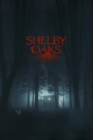 Miasteczko Shelby Oaks
