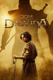 Dom Dawida